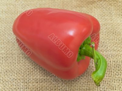 paprika
