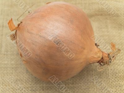onion