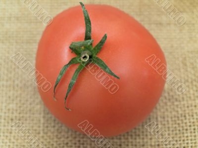tomato