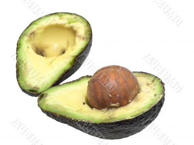avocado