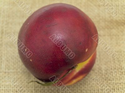 nectarine