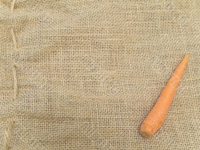 carrot