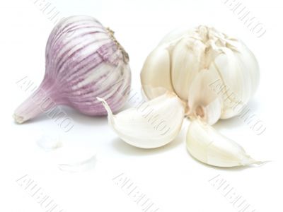 garlic