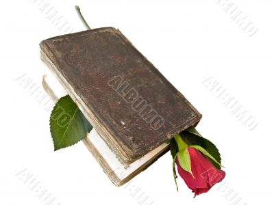 book with red rose