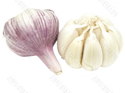garlic
