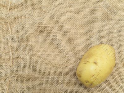 potato