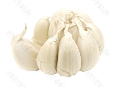 garlic