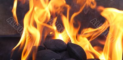 bbq