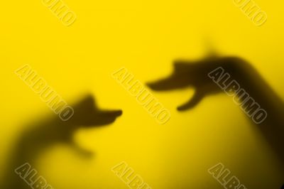 Shadow hand puppets - Dog`s heads