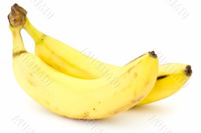 yellow bananas