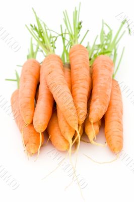 carrots