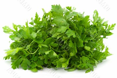 Dill. Green leaves.