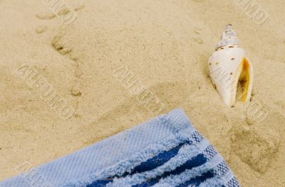 towel and shell