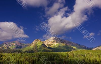 Mountain Summer