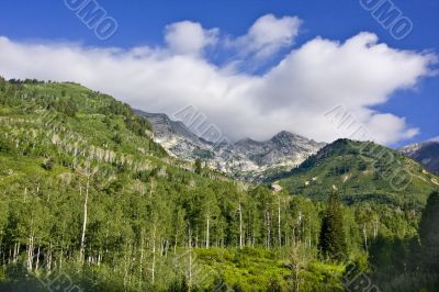 Mountain Spring