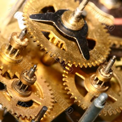 time gear