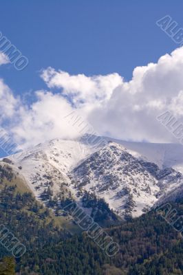 Caucasus