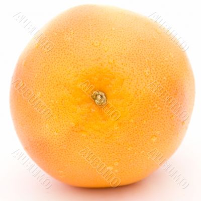 One big grapefruit