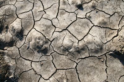 Cracked earth