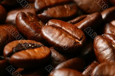 coffee beans