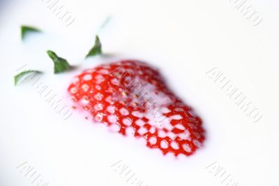 strawberrie milk