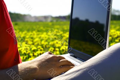 laptop nature work