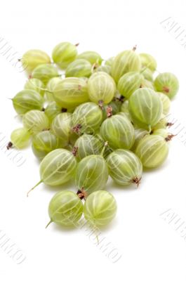 Fresh gooseberry closeup