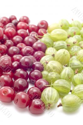 gooseberry and cherry