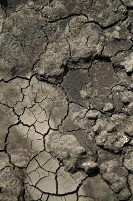  parched earth