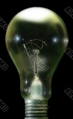 bulb