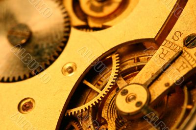 golden gear