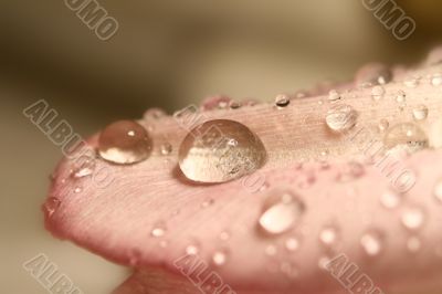 waterdrop