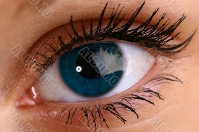 beautiful blue eye