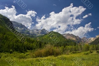 Mountain Meadow