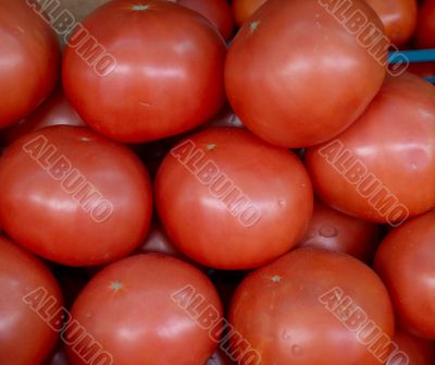 Red tomatoes on the market