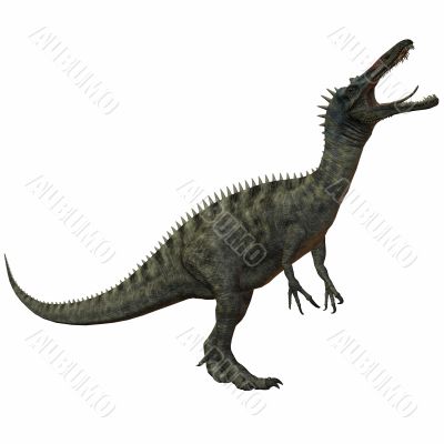 Suchomimus Tenerensis