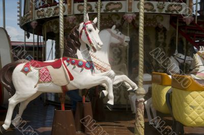 horses