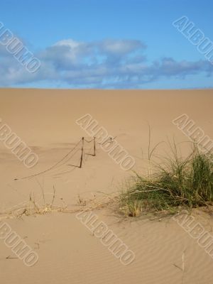 dunes