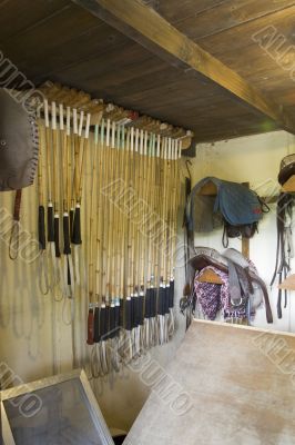 Polo stable
