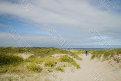 walking the dog