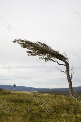 stormy weather
