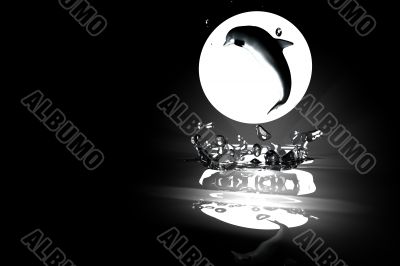 dolphin