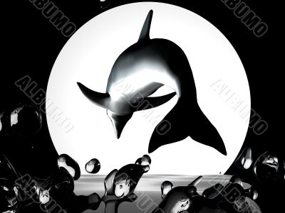 dolphin