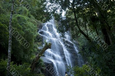  Itatiaia National Park