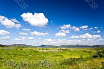 Water meadow 1