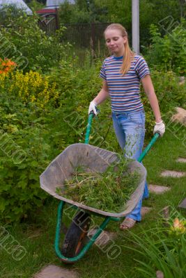 Women wheel a barrow