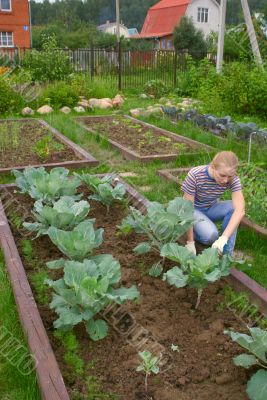 Weеding a vegetable garden