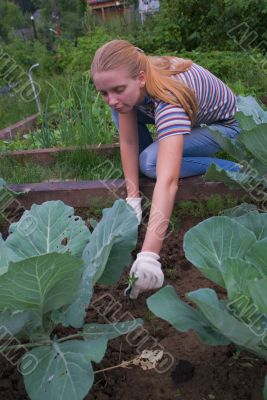 Weеding a vegetable garden