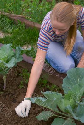 Weеding a vegetable garden