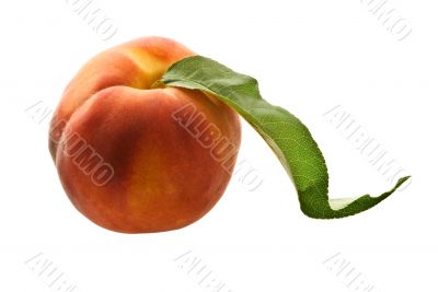 fresh ripe peach